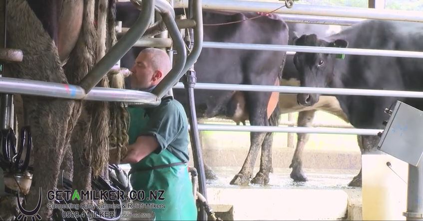 Get a Milker