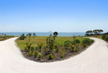 Photography Sample Image