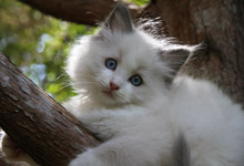 Photography Sample Image