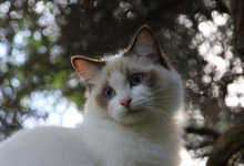 Photography Sample Image