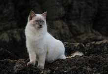 Photography Sample Image