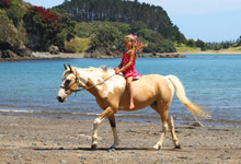 Photography Sample Image