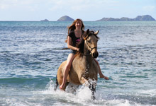 Photography Sample Image