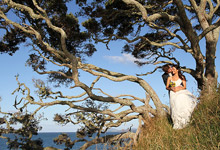 Photography Sample Image