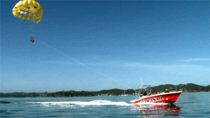 Flying Kiwi Parasail