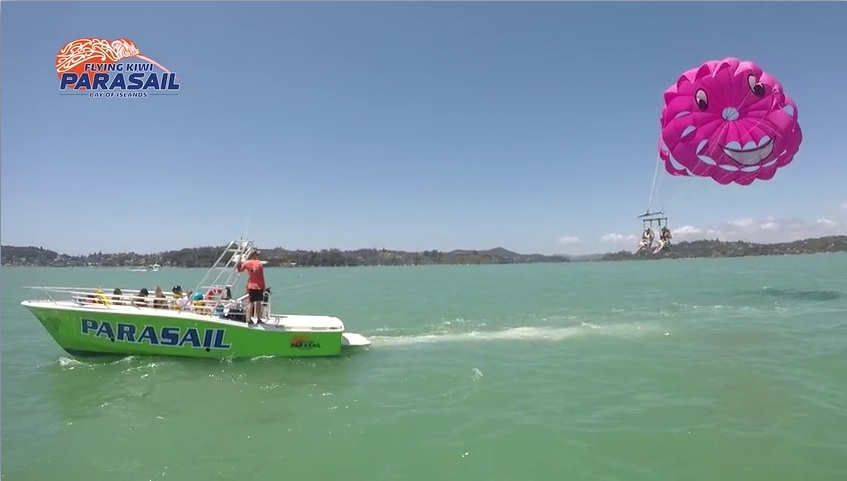 FlyingKiwi2019