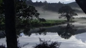 Takou River Magic Cottages